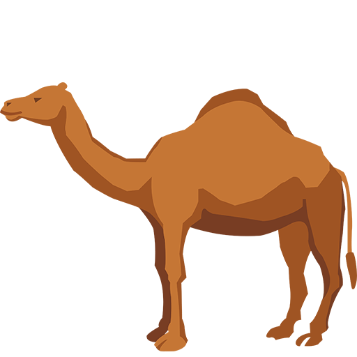 Camel